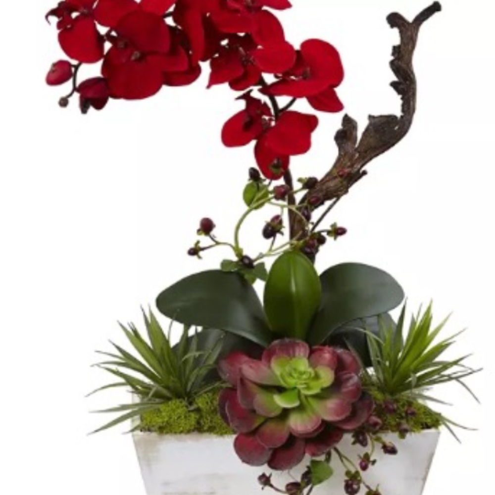 Meet your Posher, Susy